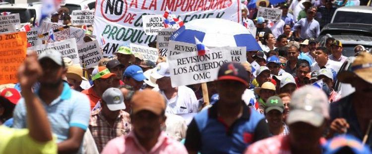 Los obispos panameños reiteran su apoyo a los productores nacionales de alimentos y exhortan al