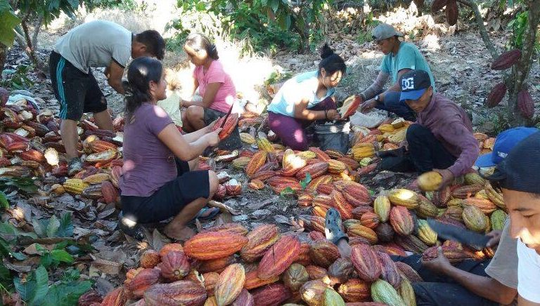 Cáritas Perú beneficia a 347 familias indígenas y campesinas ante la escalada de la minería