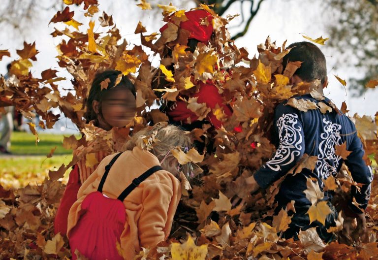 Varios niños juegan con hojas secas