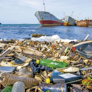 Cuidado de la Casa común Laudato si' cambio climático plástico