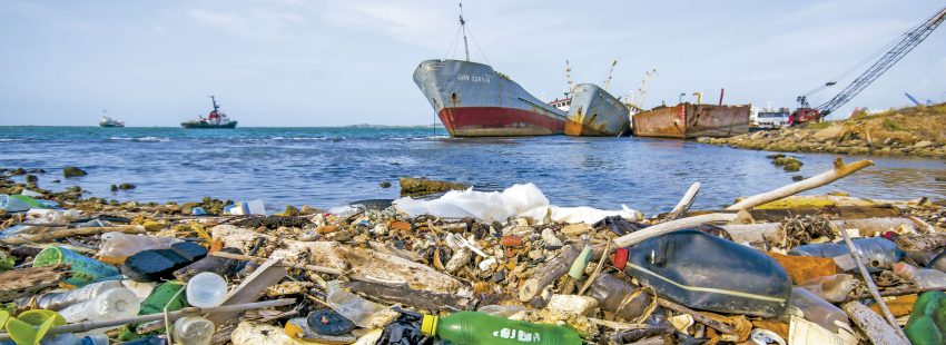 Cuidado de la Casa común Laudato si' cambio climático plástico