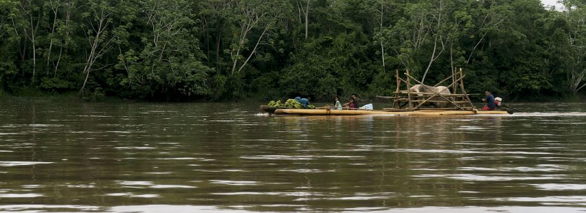 Amazonía peruana