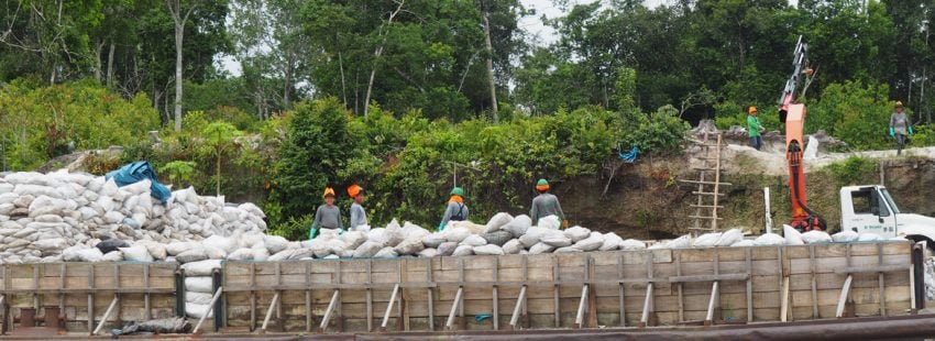 Dos militantes ambientalistas asesinados en los últimos días en América Latina