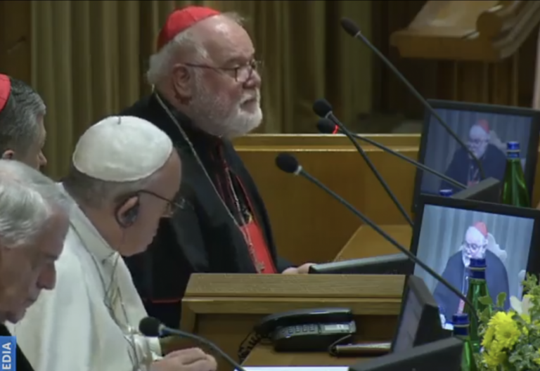 El cardenal Marx en la cumbre antiabusos