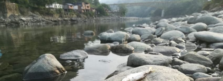 Crece la preocupación en la Iglesia colombiana por la amenaza socio-ambiental de Hidroituango