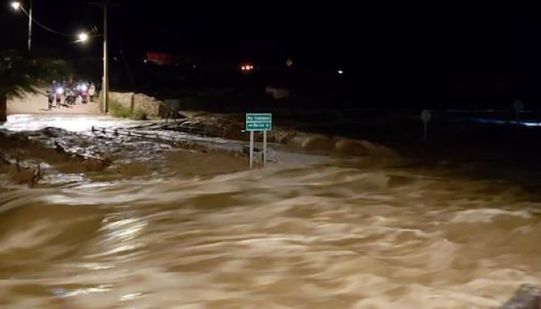 Chile: cuando llueve en el desierto