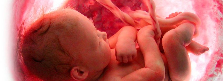 Los obispos de México piden a los católicos mayor compromiso en la defensa de la vida