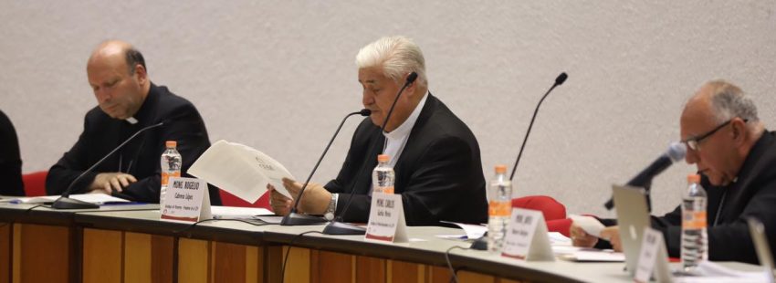 Los obispos de México pondrán sobre la mesa el tema de la protección a menores