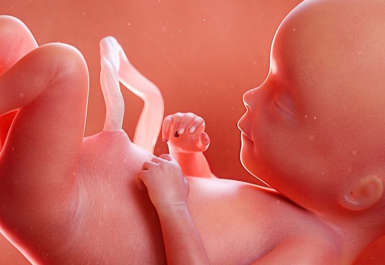 México acoge magno encuentro sobre atención post aborto