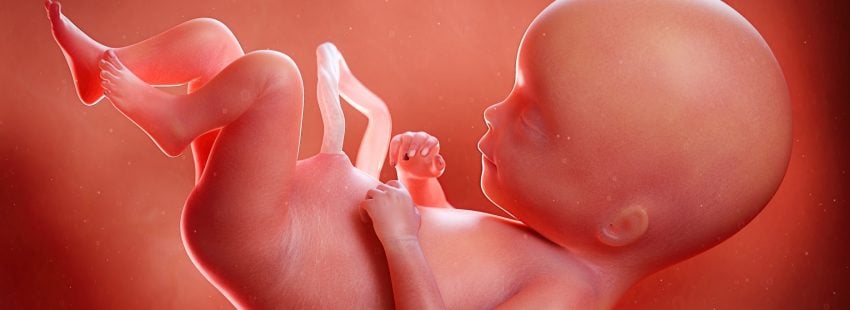 México acoge magno encuentro sobre atención post aborto