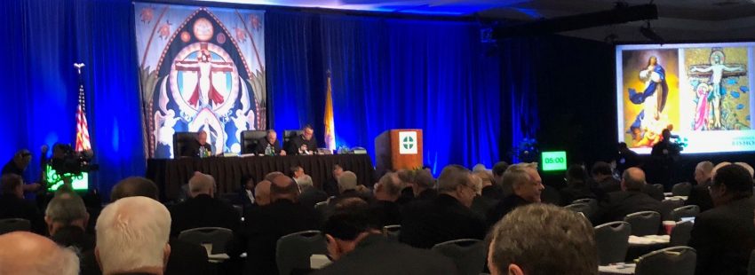 Estos son los temas que los obispos de Estados Unidos tratarán en su asamblea plenaria