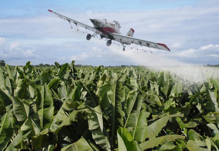 Obispos de la frontera colombo-ecuatoriana advierten al gobierno los riesgos del uso del glisofato