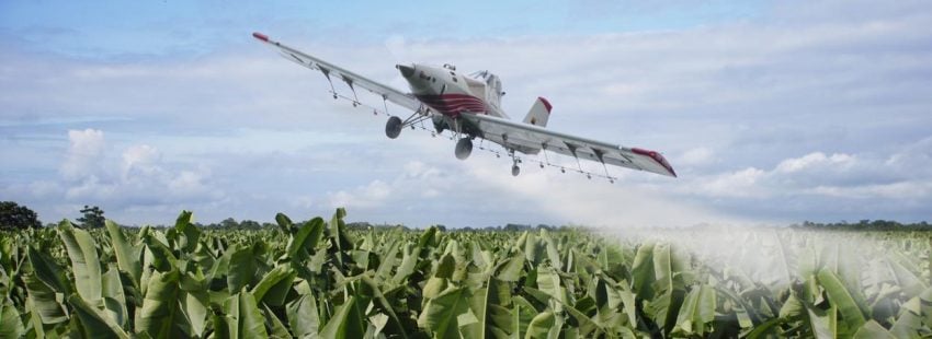 Obispos de la frontera colombo-ecuatoriana advierten al gobierno los riesgos del uso del glisofato