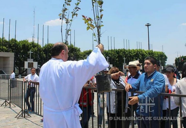 La Iglesia en México llama a los católicos a ser ejemplo en el cuidado del medio ambiente