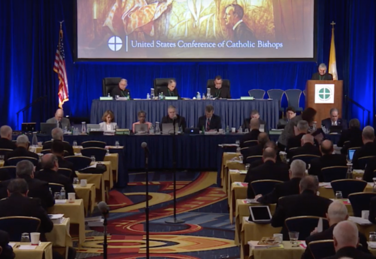 Los obispos de Estados Unidos aprovechan su asamblea para avanzar en el tema de la protección a