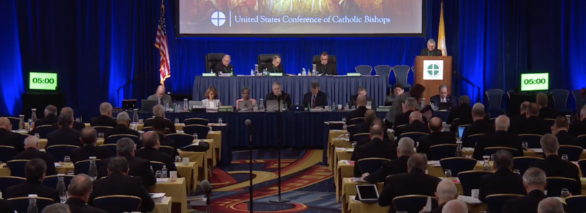 Los obispos de Estados Unidos aprovechan su asamblea para avanzar en el tema de la protección a