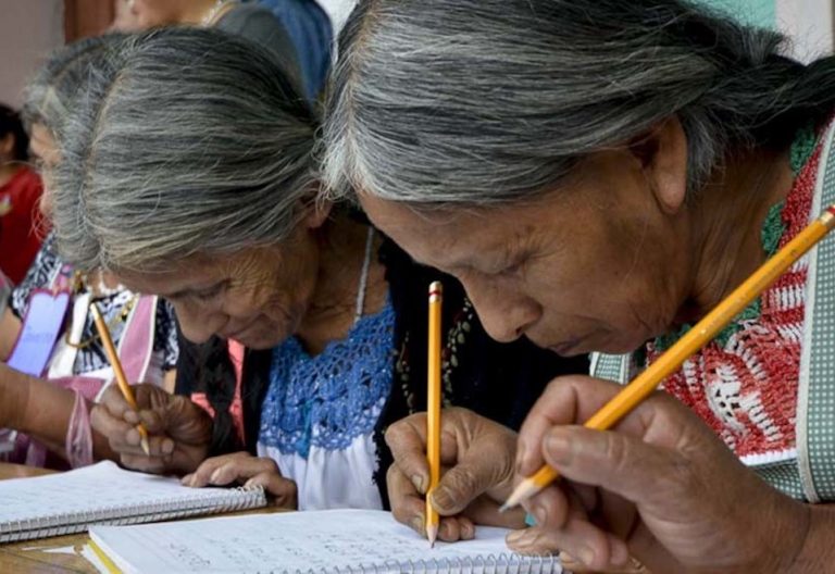 Francisco anima a la UNESCO a fomentar la alfabetización para continuar “construyendo puentes”