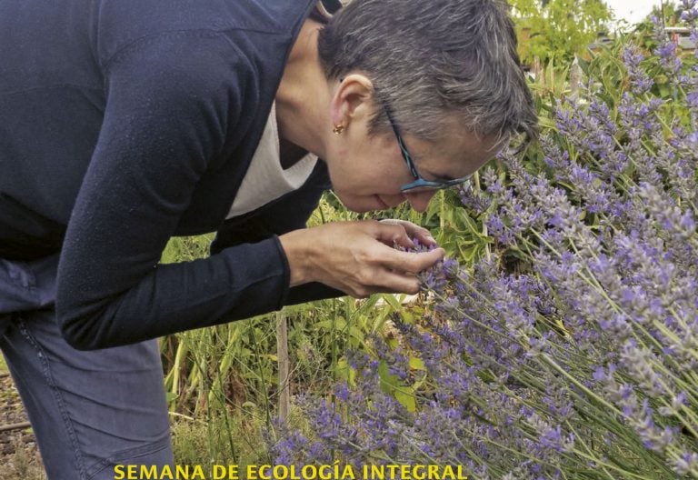 Portada SomosCONFER 15