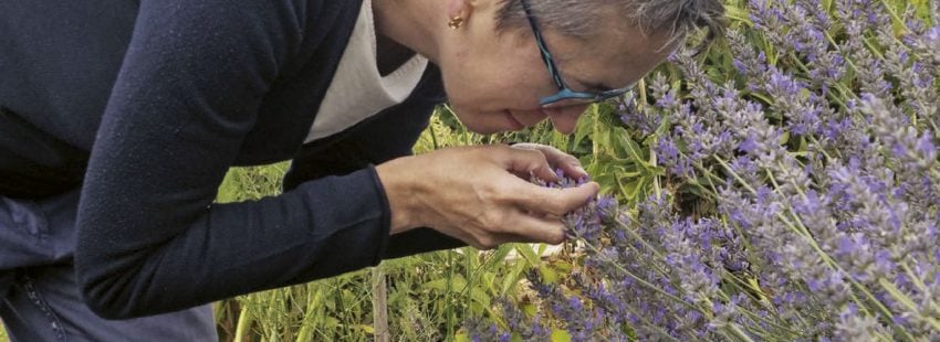 Portada SomosCONFER 15