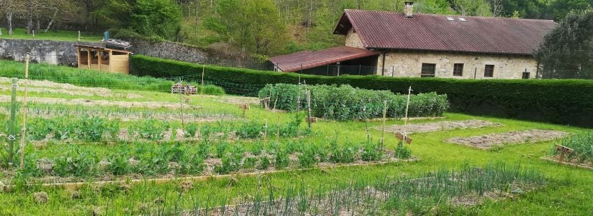 huerto ecología Laudato si'