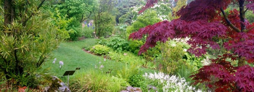 10 consejos para un verano Laudato si’