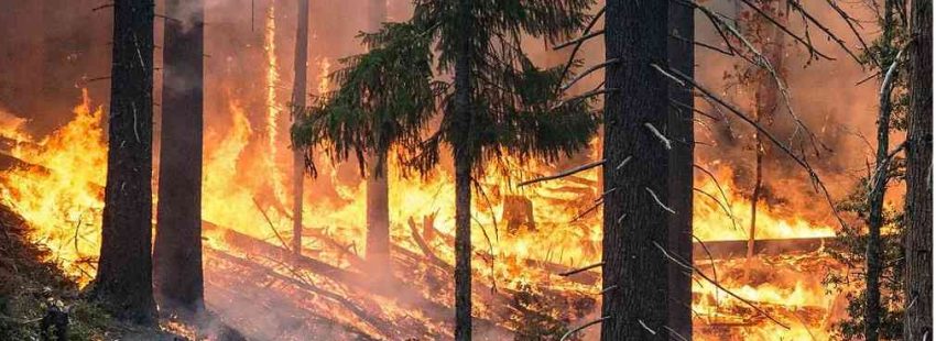 La Iglesia brasileña “levanta la voz por la Amazonía” ante la tragedia de los