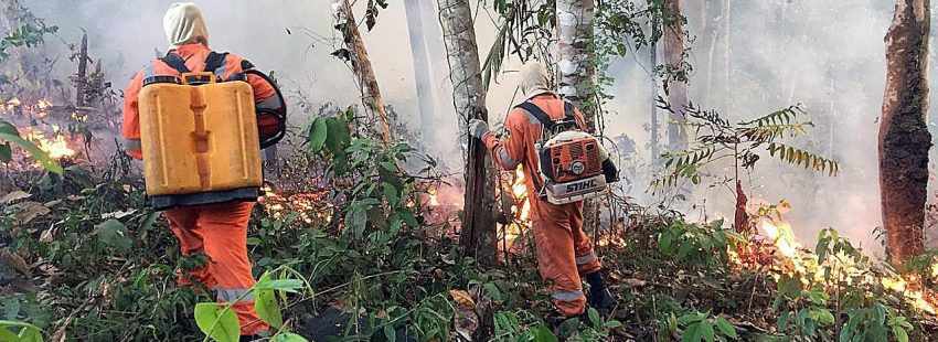 Los religiosos de la CLAR también claman: “¡No a la destrucción de la Amazonía!”