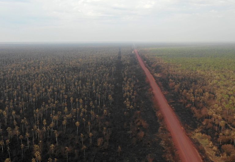 Chiquitanía, fundido a negro