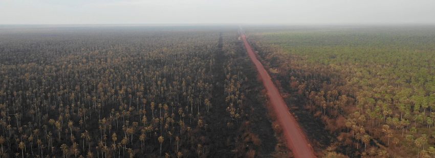 Chiquitanía, fundido a negro