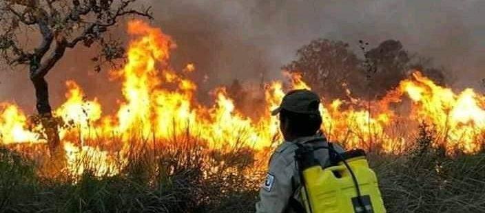 La Iglesia colombiana sobre los incendios: “El cuidado de la Amazonía será viable en la medida