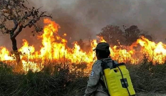 La Iglesia colombiana sobre los incendios: “El cuidado de la Amazonía será viable en la medida