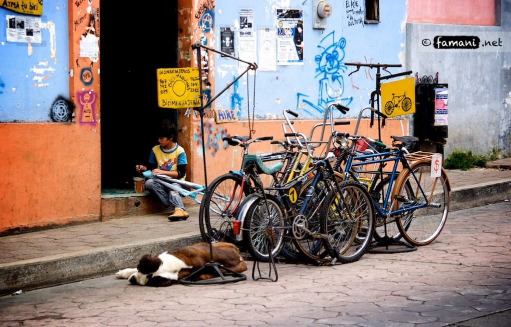Fabrizio Maniscalco Joven Chiapas 
