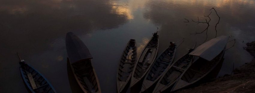 Opositores a Francisco: ahora también contra el Sínodo sobre la Amazonía