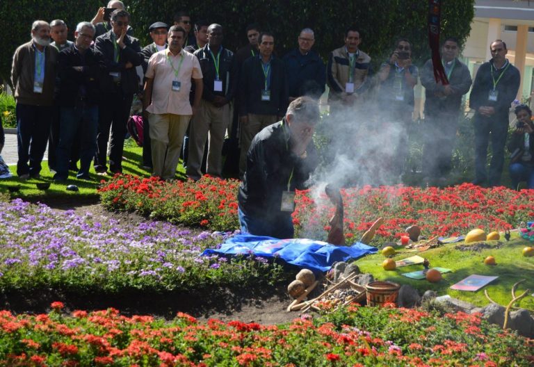 La Carta Pastoral sobre ecología integral del CELAM ya tiene serie radiofónica