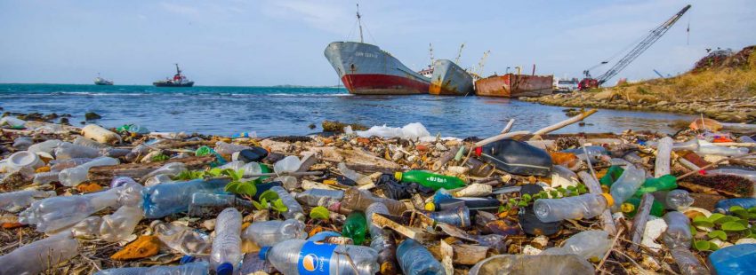 Plásticos en una playa