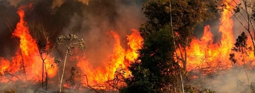 Solidaridad de la Iglesia en México ante los incendios forestales en la Amazonía 2019