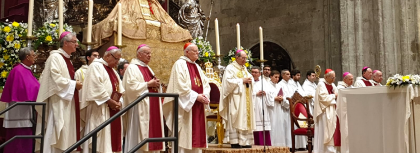 Juan José Asenjo, arzobispo de Sevilla