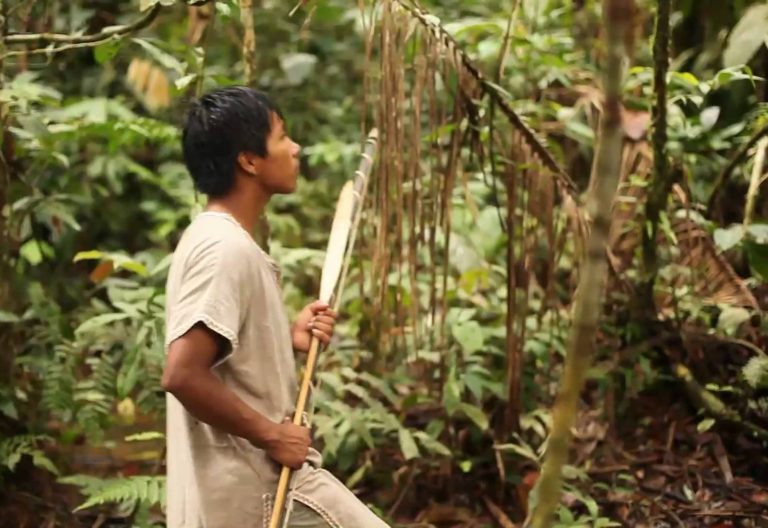 La REPAM presenta un Atlas Panamazónico como contribución al Sínodo