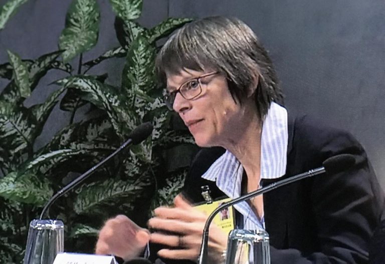 Birgit Weiler en el Sínodo: “La pastoral de la Amazonía está liderada por mujeres”