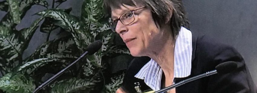 Birgit Weiler en el Sínodo: “La pastoral de la Amazonía está liderada por mujeres”