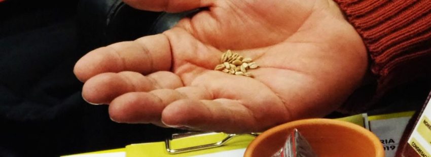 Momento de la oración de apertura de la Asamblea de Confer