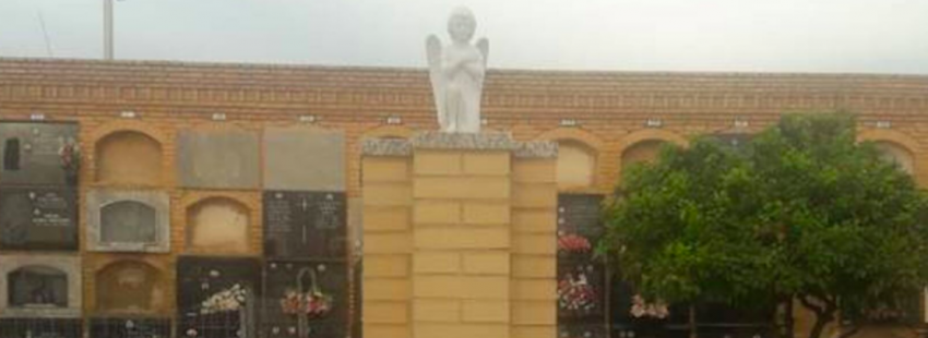 torrent panteon no natos