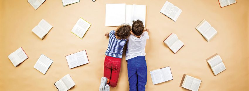 educación concertada y pública