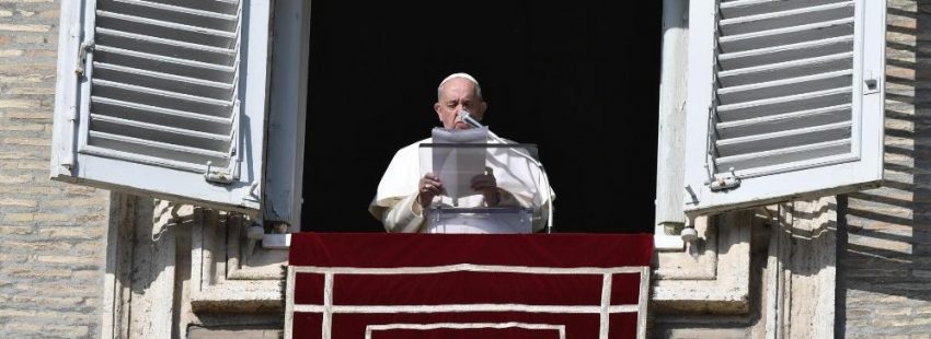angelus papa inmaculada