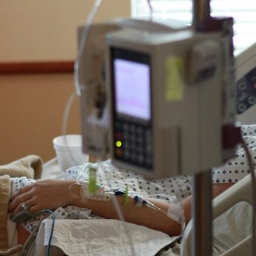 El Vaticano se abre a los trasplantes de órganos animales a humanos