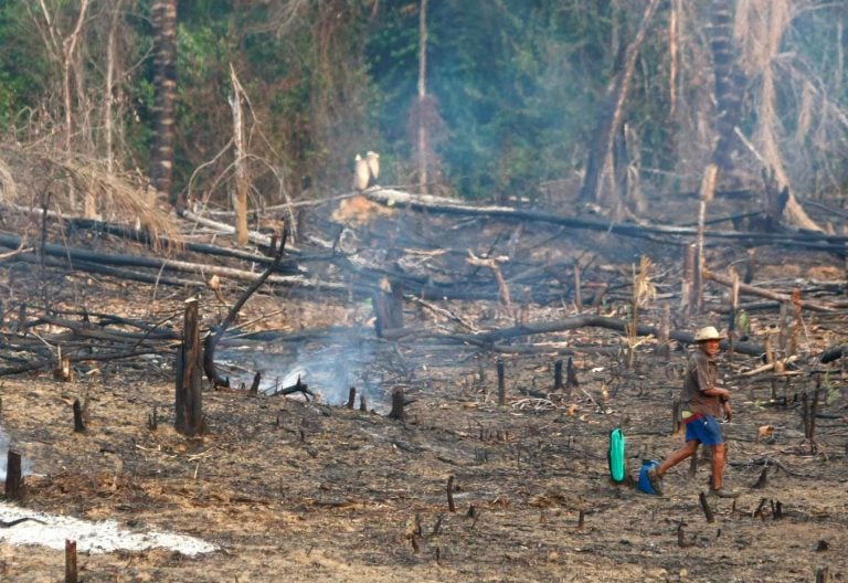 Deforestación de la Amazonía