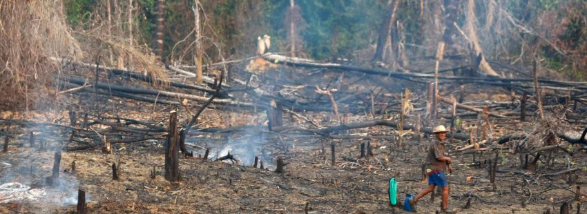 Deforestación de la Amazonía