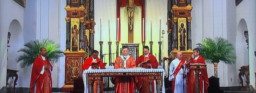 El cardenal Salazar en la misa del Domingo de Ramos: “Todos somos hermanos en la fragilidad”