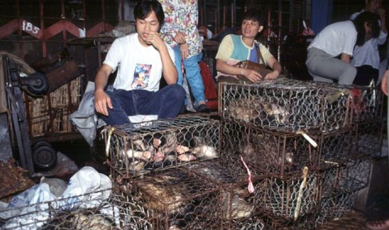 Mercado Wuhan coronavirus