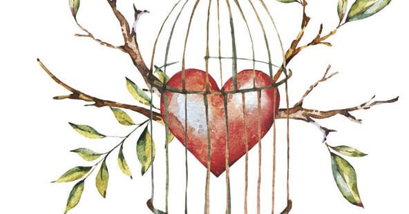 Portada somosCONFER 20